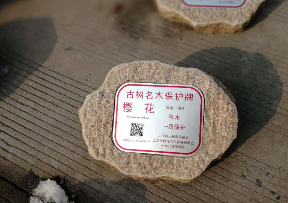 標(biāo)牌鋁牌制作：樹(shù)木銘牌標(biāo)牌